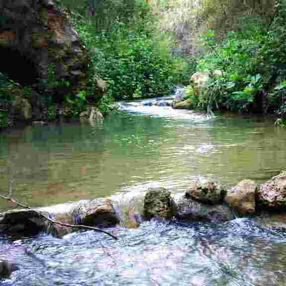 irbid