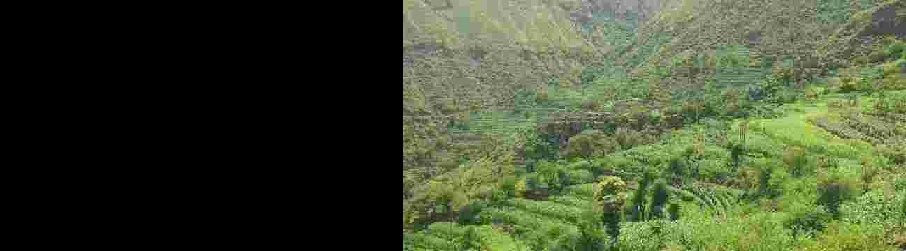 صل على رسول الله صلى الله عليه وسلم 